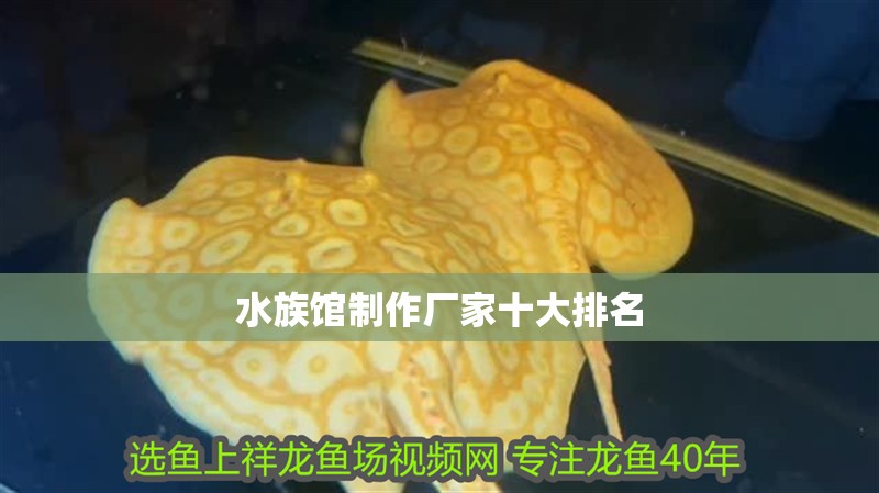 水族館制作廠家十大排名
