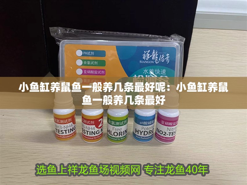 小魚缸養鼠魚一般養幾條最好呢：小魚缸養鼠魚一般養幾條最好