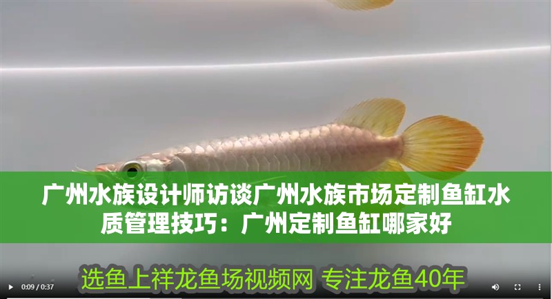 什么魚能和龍魚、虎魚混養(yǎng)(龍魚能和虎魚混養(yǎng)嗎) 廣州水族設(shè)計(jì)師訪談廣州水族市場定制魚缸水質(zhì)管理技巧:廣州定制魚缸哪家好 魚缸百科 廣州水族設(shè)計(jì)師訪談廣州水族市場定制魚缸水質(zhì)管理技巧:廣州定制魚缸哪家好 廣州水族設(shè)計(jì)師訪談廣州水族市場定制魚缸水質(zhì)管理技巧:廣州定制魚缸哪家好 魚缸百科