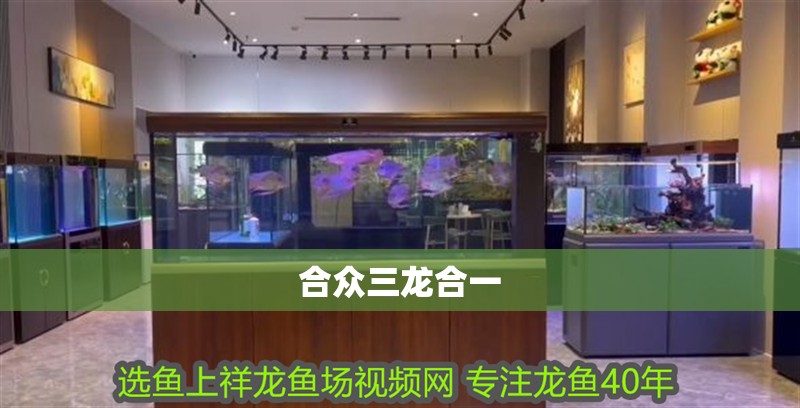 合眾三龍合一
