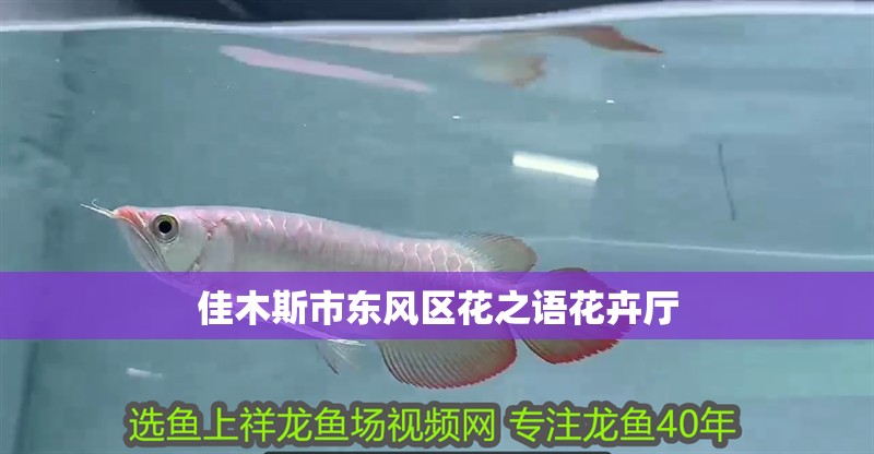 <strong><mark>佳木斯</mark></strong>市東風(fēng)區(qū)花之語(yǔ)花卉廳