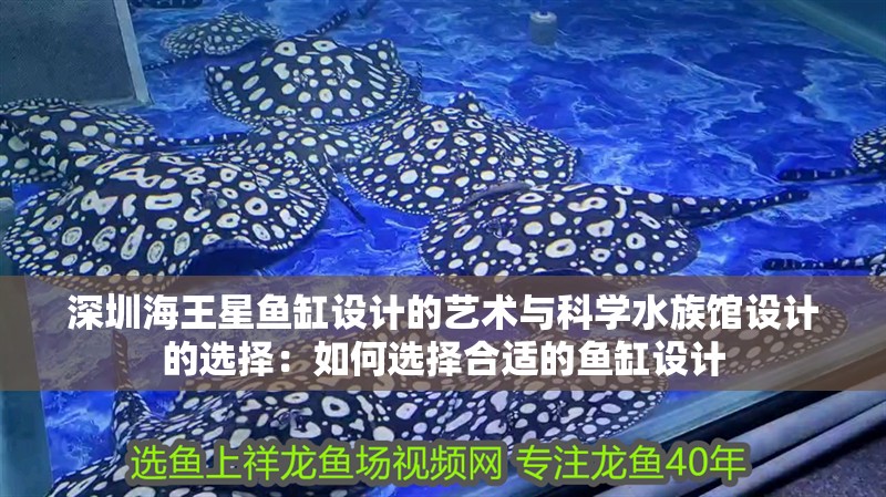 深圳海王星魚缸設計的藝術與科學水族館設計的選擇：如何選擇合適的魚缸設計