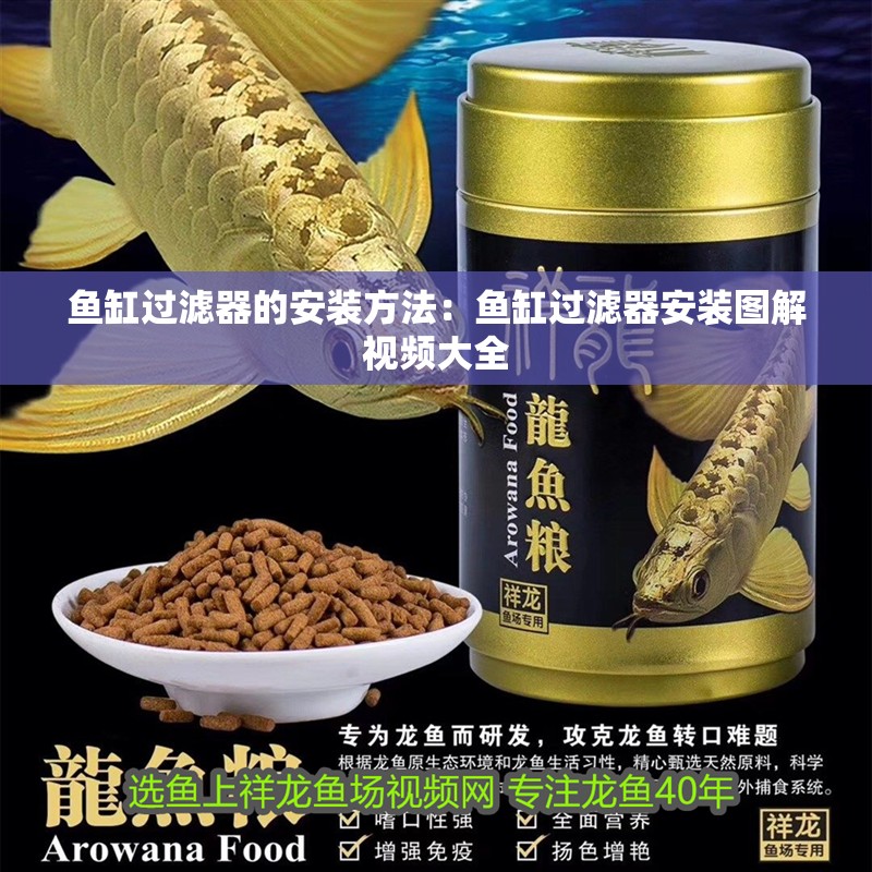 魚缸過濾器的安裝方法：魚缸過濾器安裝圖解視頻大全 魚缸過濾器的安裝方法：魚缸過濾器安裝圖解視頻大全 魚缸百科