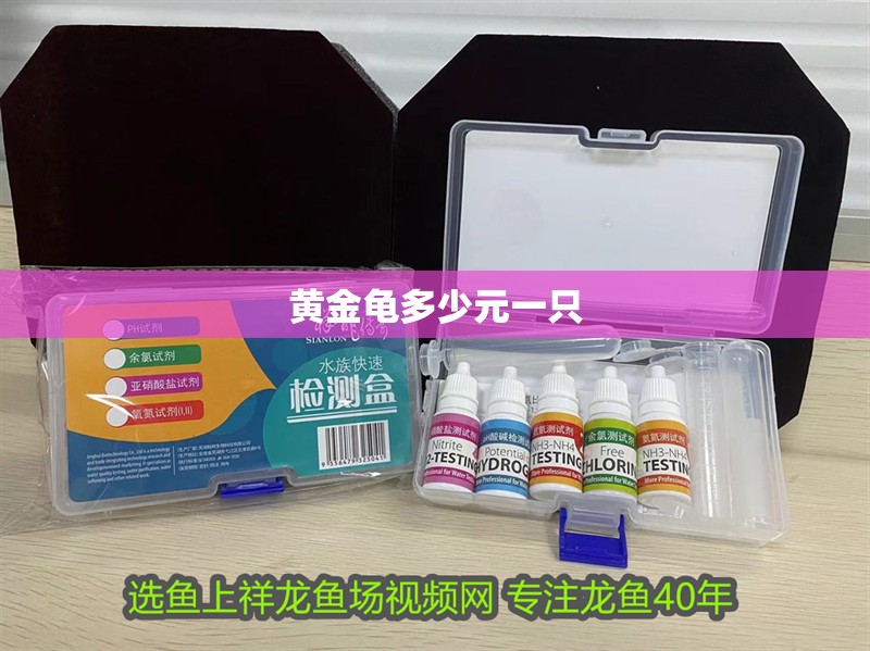 黃金龜多少元一只