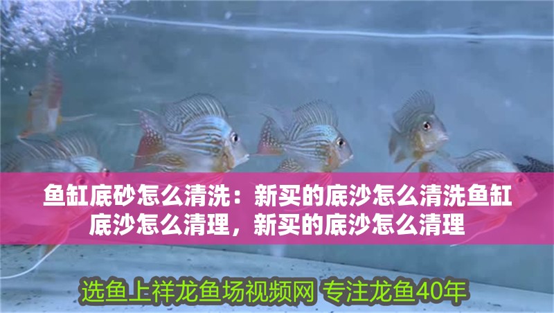 魚缸底砂怎么清洗：新買的底沙怎么清洗魚缸底沙怎么清理，新買的底沙怎么清理