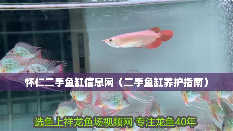懷仁二手魚缸信息網（二手魚缸養護指南）
