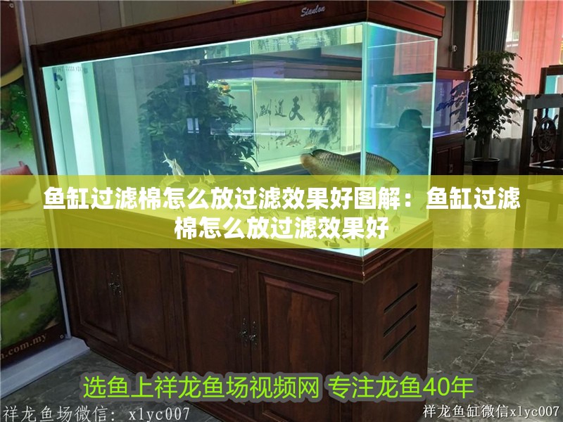 魚缸過濾棉怎么放過濾效果好圖解：魚缸過濾棉怎么放過濾效果好