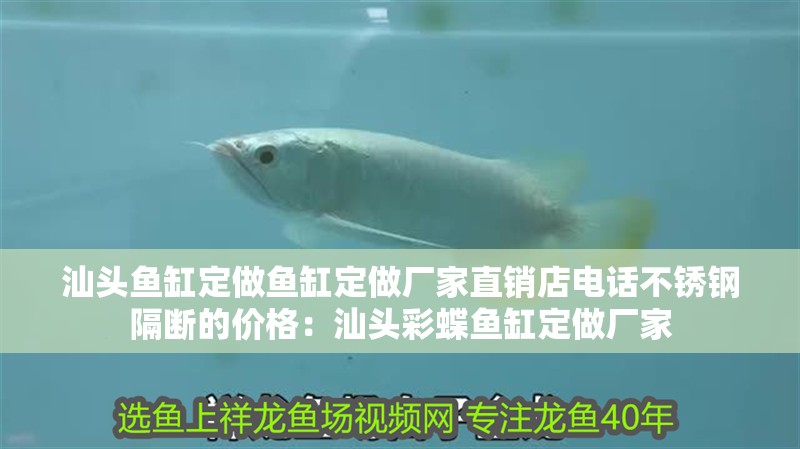 汕頭魚缸定做魚缸定做廠家直銷店電話不銹鋼隔斷的價格：汕頭彩蝶魚缸定做廠家 汕頭魚缸定做魚缸定做廠家直銷店電話不銹鋼隔斷的價格：汕頭彩蝶魚缸定做廠家 魚缸百科