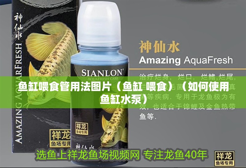 魚缸喂食管用法圖片（魚缸 喂食）（如何使用魚缸水泵）