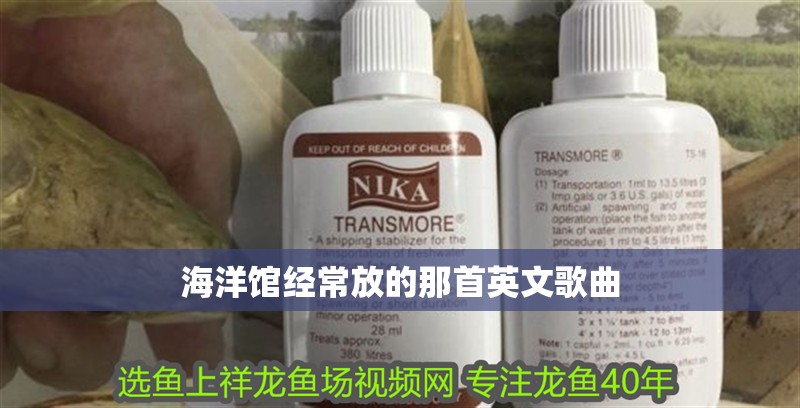 海洋館經常放的那首英文歌曲