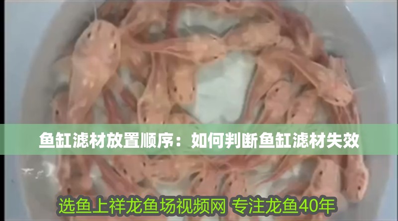 魚缸濾材放置順序：如何判斷魚缸濾材失效