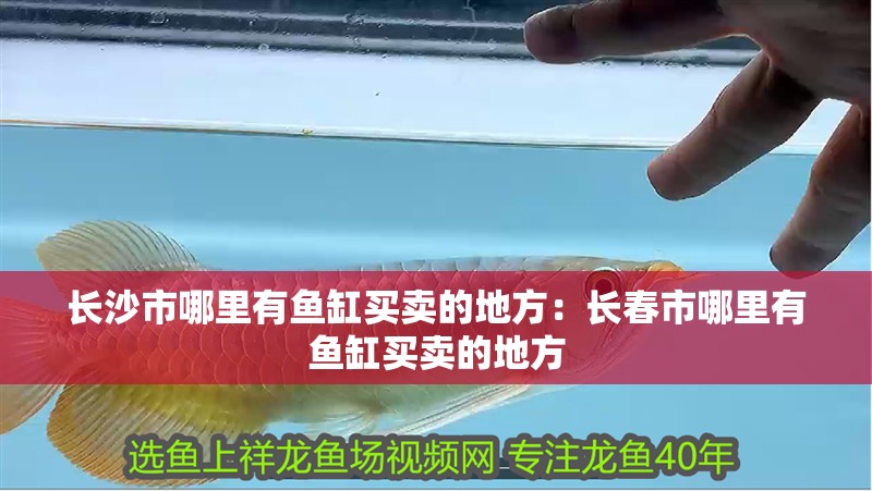 長<strong><mark>沙市</mark></strong>哪里有魚缸買賣的地方：長春市哪里有魚缸買賣的地方