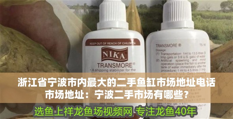 <strong><mark>浙江</mark></strong>省寧波市內最大的二手魚缸市場地址電話市場地址：寧波二手市場有哪些？