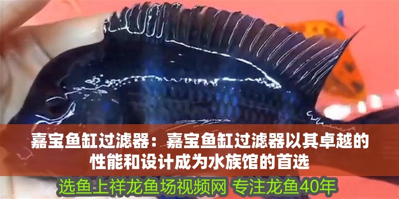 嘉寶魚缸過濾器：嘉寶魚缸過濾器以其卓越的性能和設計成為水族館的首選