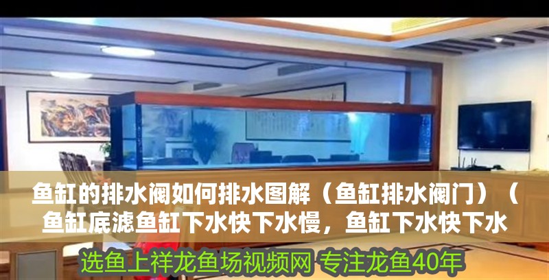 魚缸的排水閥如何排水圖解（魚缸排水閥門）（魚缸底濾魚缸下水快下水慢，魚缸下水快下水慢）