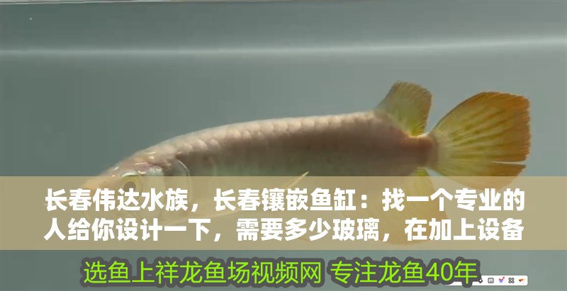長(zhǎng)春偉達(dá)水族，長(zhǎng)春鑲嵌魚缸：找一個(gè)專業(yè)的人給你設(shè)計(jì)一下，需要多少玻璃，在加上設(shè)備
