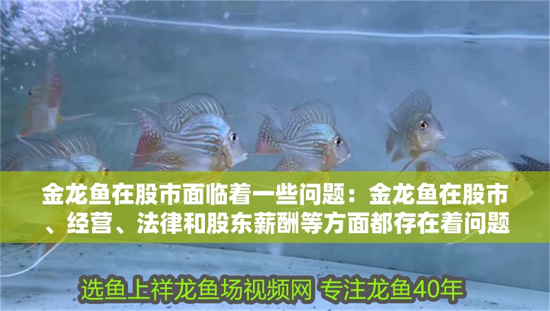 金龍魚在股市面臨著一些問題：金龍魚在股市、經營、法律和股東薪酬等方面都存在著問題
