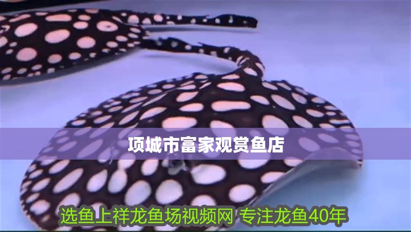 項城市富家觀賞魚店