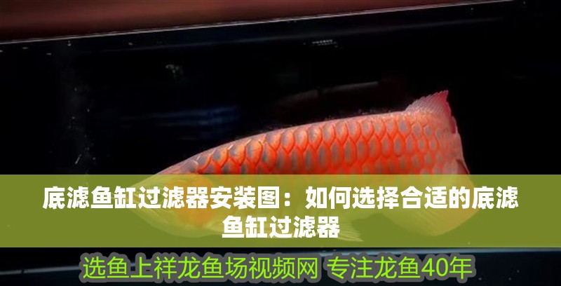 底濾魚缸過濾器安裝圖：如何選擇合適的底濾魚缸過濾器