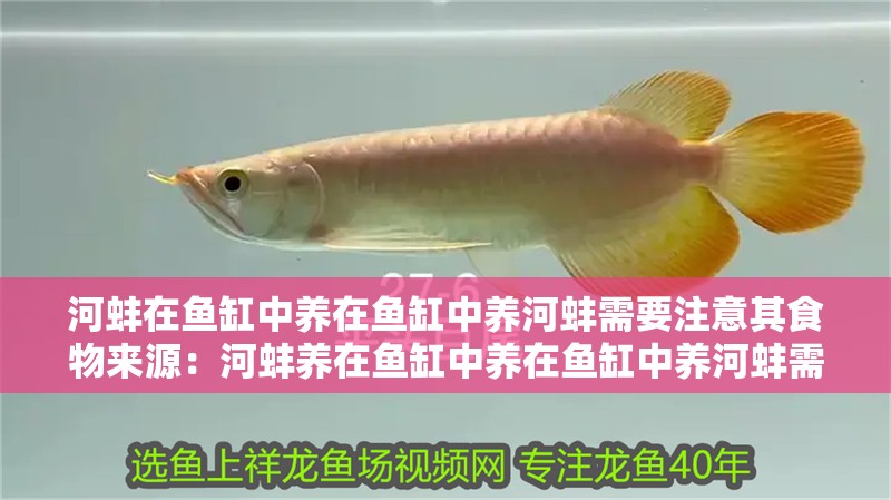 河蚌在魚缸中養在魚缸中養河蚌需要注意其食物來源：河蚌養在魚缸中養在魚缸中養河蚌需要注意其食物來源