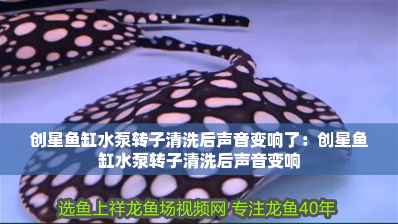 創星魚缸水泵轉子清洗后聲音變響了：創星魚缸水泵轉子清洗后聲音變響