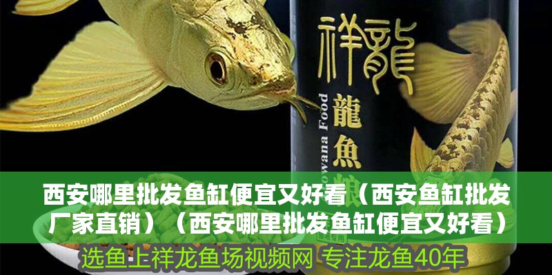 西安哪里批發魚缸便宜又好看（西安魚缸批發廠家直銷）（西安哪里批發魚缸便宜又好看）