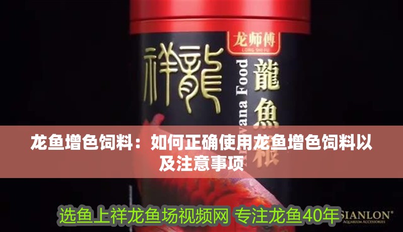 龍魚增色飼料：如何正確使用龍魚增色飼料以及注意事項(xiàng)