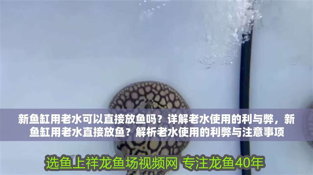 新魚缸用老水可以直接放魚嗎？詳解老水使用的利與弊，新魚缸用老水直接放魚？解析老水使用的利弊與注意事項