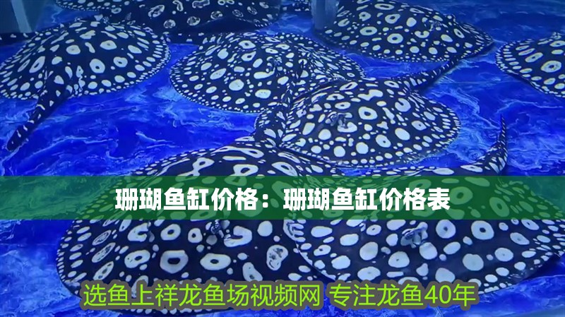 珊瑚魚缸價(jià)格：珊瑚魚缸價(jià)格表