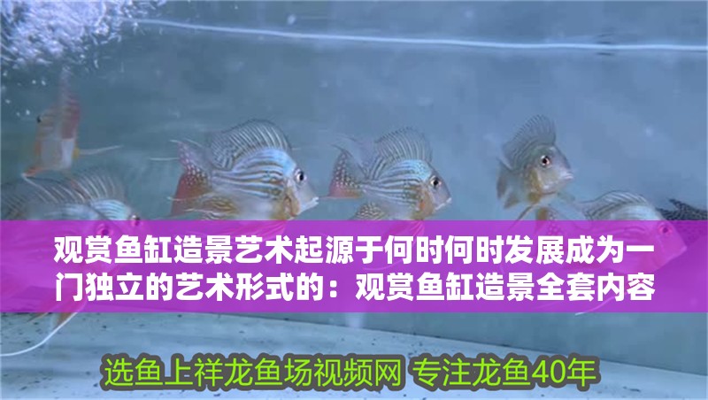 觀賞魚缸造景藝術起源于何時何時發展成為一門獨立的藝術形式的：觀賞魚缸造景全套內容