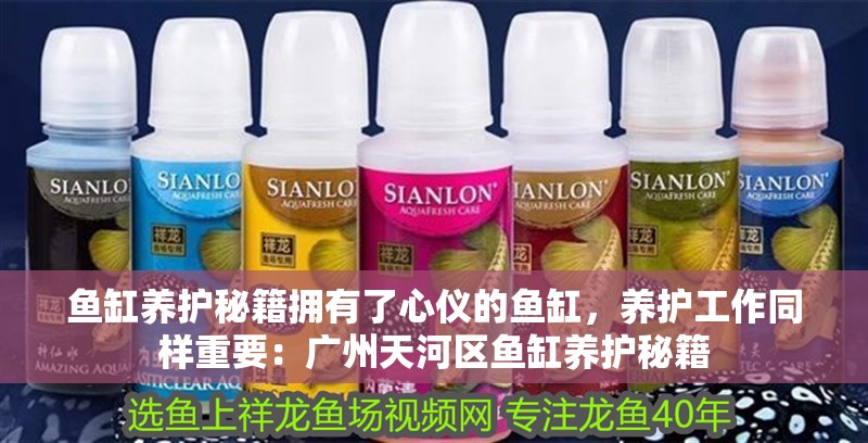 魚缸養護秘籍擁有了心儀的魚缸，養護工作同樣重要：廣州天河區魚缸養護秘籍