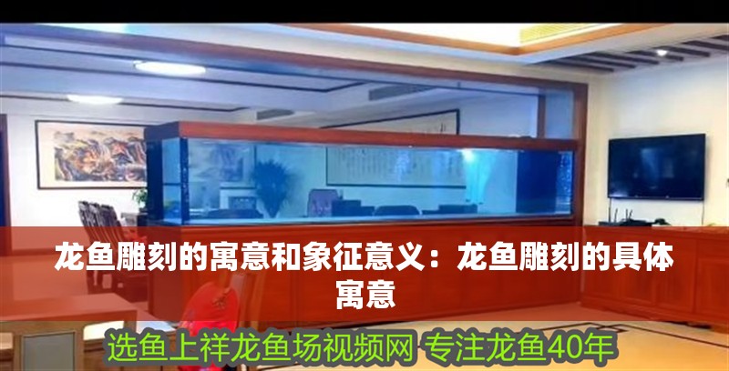 給大魚缸換水的作文:體驗給大魚缸換水的樂趣:體驗給大魚缸換水:給大魚缸換水的作文 龍魚雕刻的寓意和象征意義:龍魚雕刻的具體寓意 龍魚百科 龍魚雕刻的寓意和象征意義:龍魚雕刻的具體寓意 龍魚雕刻的寓意和象征意義:龍魚雕刻的具體寓意 龍魚百科