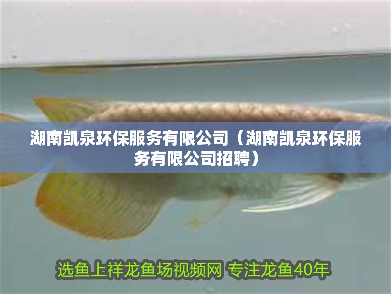 湖南凱泉環保服務有限公司（湖南凱泉環保服務有限公司招聘）