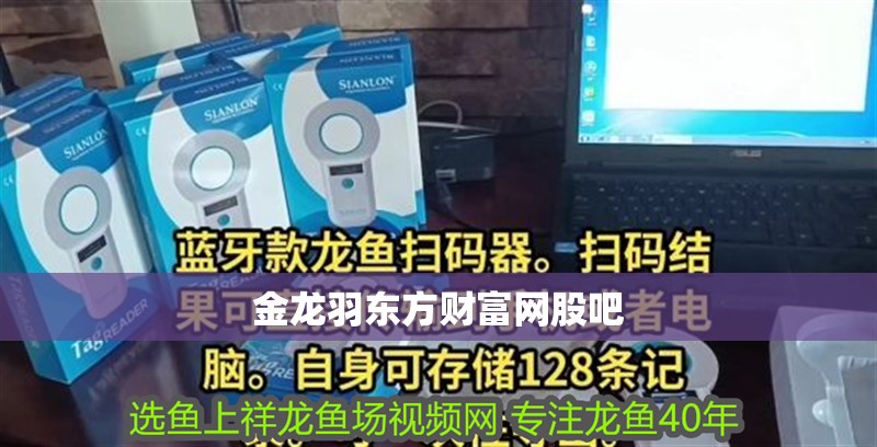 金龍羽東方財(cái)富網(wǎng)股吧