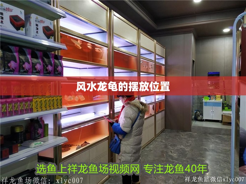 風水龍龜的擺放位置