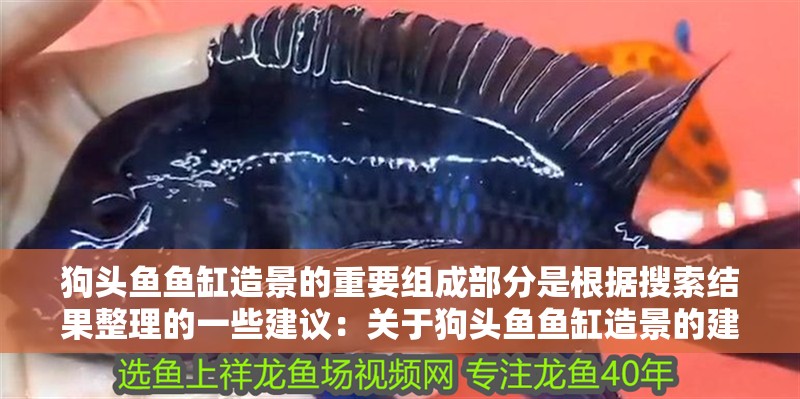 狗頭魚魚缸造景的重要組成部分是根據搜索結果整理的一些建議：關于狗頭魚魚缸造景的建議：底沙是魚缸造景的重要組成部分 狗頭魚魚缸造景的重要組成部分是根據搜索結果整理的一些建議：關于狗頭魚魚缸造景的建議：底沙是魚缸造景的重要組成部分 魚缸百科