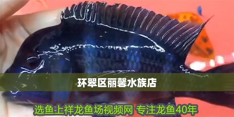 環翠區麗馨水族店