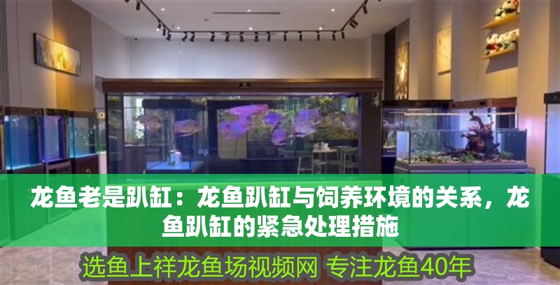 魚缸造景先放沙還是先放水(魚缸造景先鋪沙還是先放石頭) 龍魚老是趴缸:龍魚趴缸與飼養環境的關系,龍魚趴缸的緊急處理措施 龍魚百科 龍魚老是趴缸:龍魚趴缸與飼養環境的關系,龍魚趴缸的緊急處理措施 龍魚老是趴缸:龍魚趴缸與飼養環境的關系,龍魚趴缸的緊急處理措施 龍魚百科