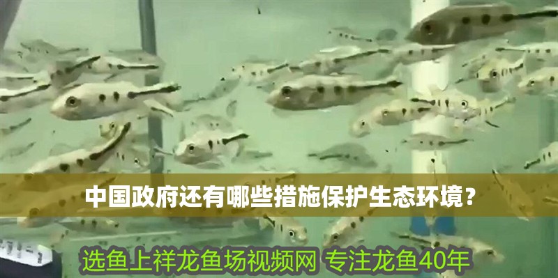 中國政府還有哪些措施保護生態環境？ 中國政府還有哪些措施保護生態環境？ 龍魚百科