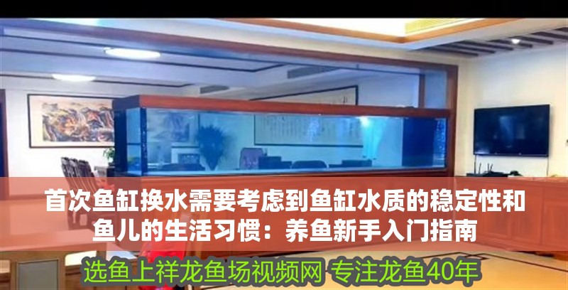 首次魚缸換水需要考慮到魚缸水質的穩定性和魚兒的生活習慣：養魚新手入門指南
