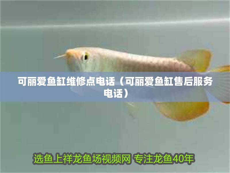 可麗愛魚缸維修點電話（可麗愛魚缸售后服務電話）