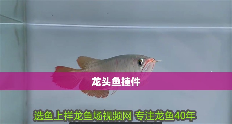 龍頭魚掛件