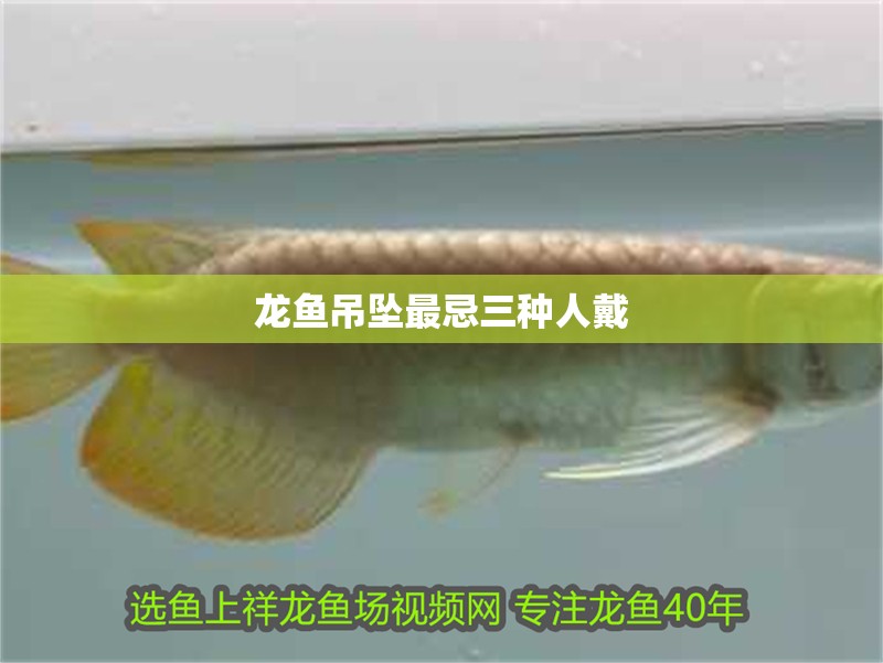 龍魚吊墜最忌三種人戴