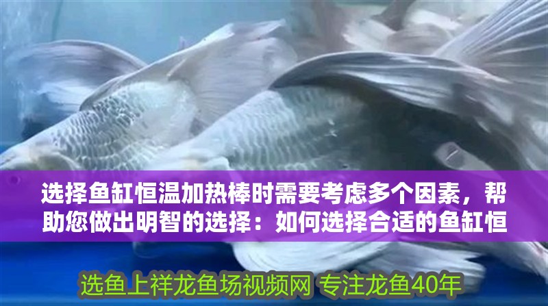 選擇魚缸恒溫加熱棒時需要考慮多個因素，幫助您做出明智的選擇：如何選擇合適的魚缸恒溫加熱棒
