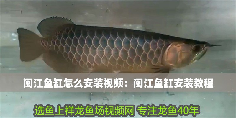 閩江魚缸怎么安裝視頻：閩江魚缸安裝教程 閩江魚缸怎么安裝視頻：閩江魚缸安裝教程 魚缸百科