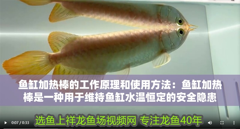 魚缸用增氧泵價格是多少:魚缸增氧機-xtrac增氧機-xtrac增氧機 魚缸加熱棒的工作原理和使用方法:魚缸加熱棒是一種用于維持魚缸水溫恒定的安全隱患 魚缸百科 魚缸加熱棒的工作原理和使用方法:魚缸加熱棒是一種用于維持魚缸水溫恒定的安全隱患 魚缸加熱棒的工作原理和使用方法:魚缸加熱棒是一種用于維持魚缸水溫恒定的安全隱患 魚缸百科