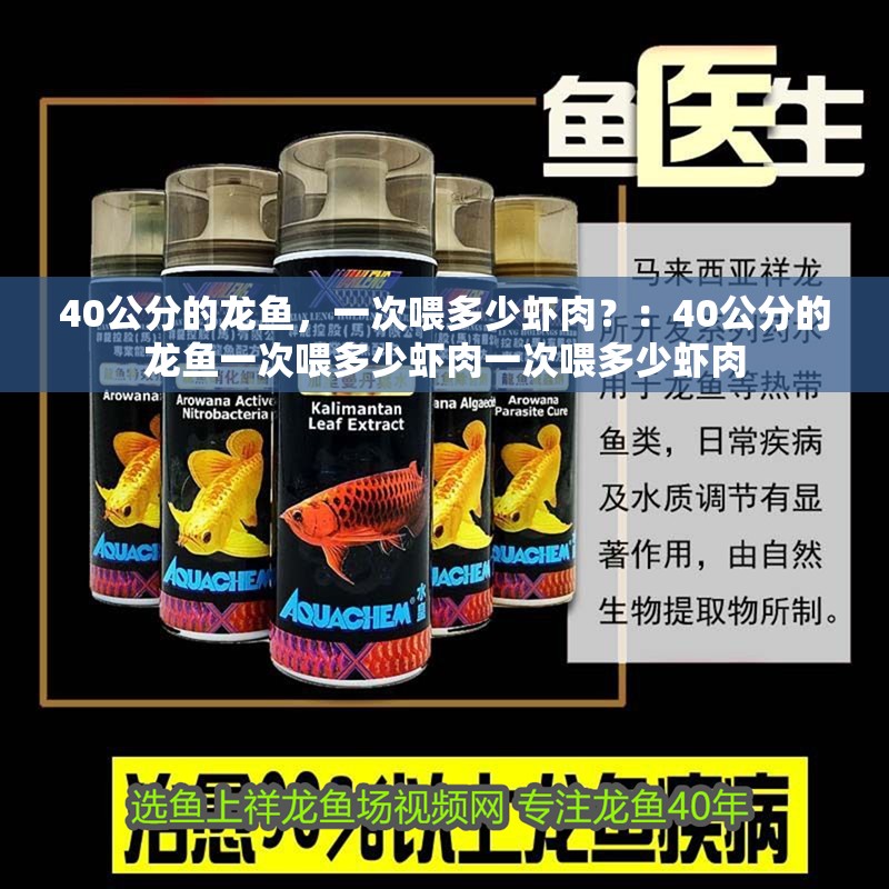40公分的龍魚，一次喂多少蝦肉？：40公分的龍魚一次喂多少蝦肉一次喂多少蝦肉