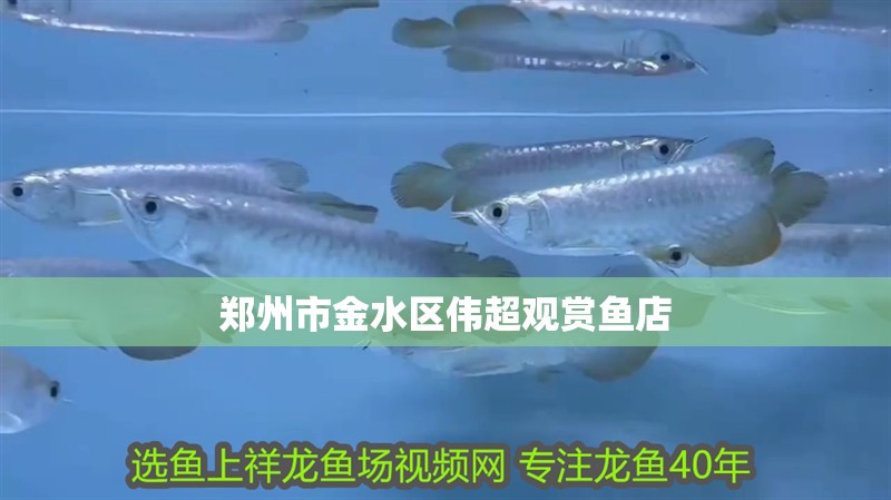 鄭州市金水區偉超觀賞魚店