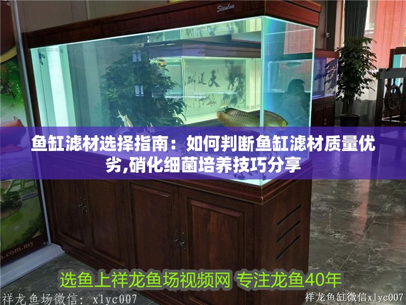 魚缸濾材選擇指南：如何判斷魚缸濾材質(zhì)量優(yōu)劣,硝化細(xì)菌培養(yǎng)技巧分享