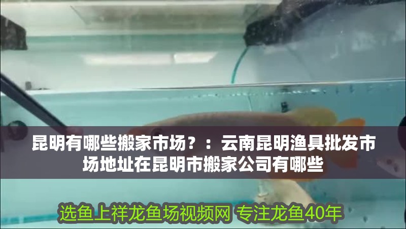 昆明有哪些搬家市場(chǎng)？：<strong><mark>云南</mark></strong>昆明漁具批發(fā)市場(chǎng)地址在昆明市搬家公司有哪些